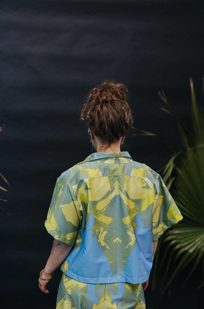 SPECTRA ||| top